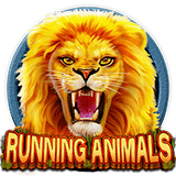 RTP CQ9 Tropicana77